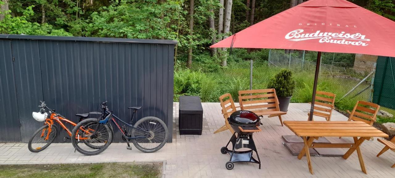 ליפנו נאד וויטאבו Apartmany Aktiv Lipno מראה חיצוני תמונה